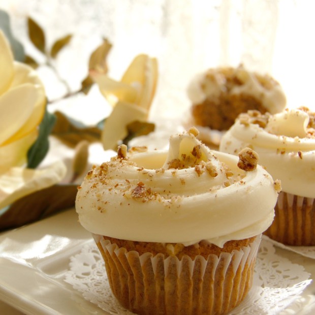 hummingbird-cc-horz900