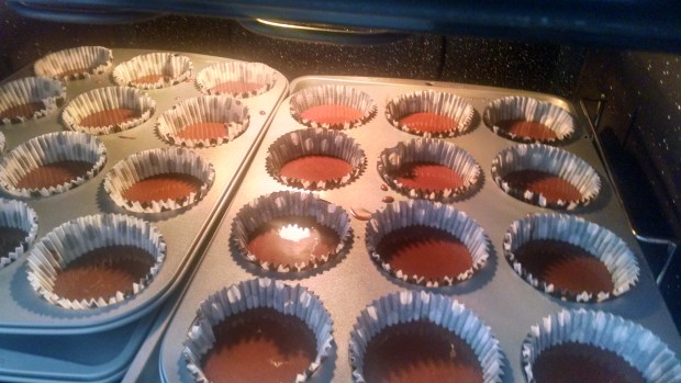 IMG_20150313_120322622_HDR