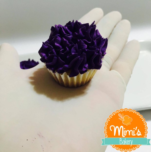 19686295_10213730869851820_177922015_o