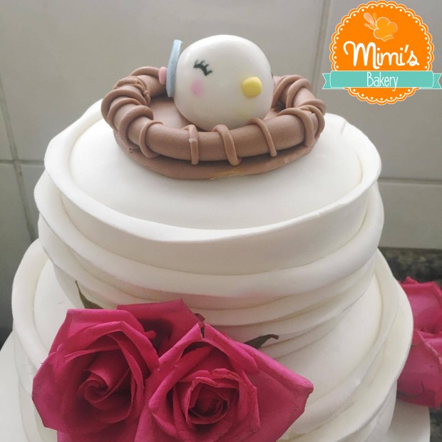 20991424_10214273382254291_129083262_o