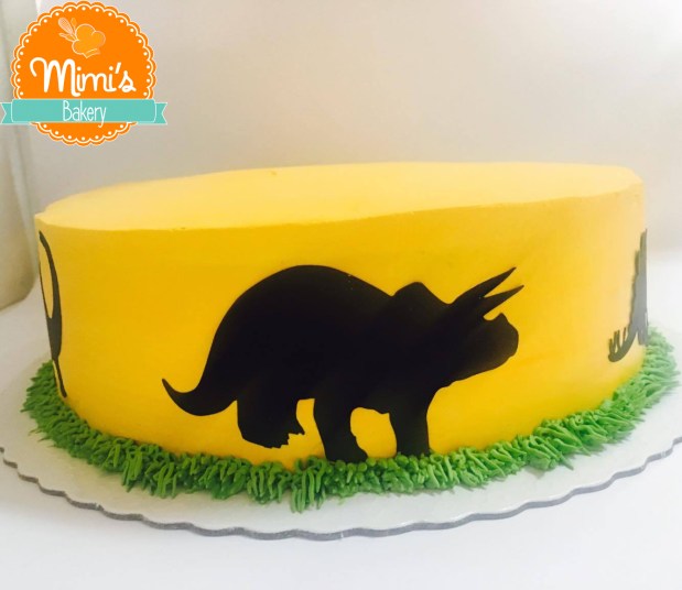 23633986_10214995691231564_1821290993_o