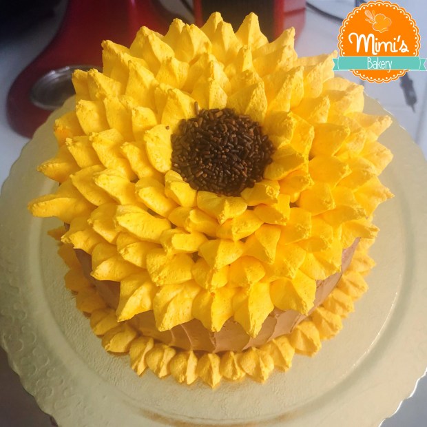 45276514_2279853125576945_9083594443625332736_n